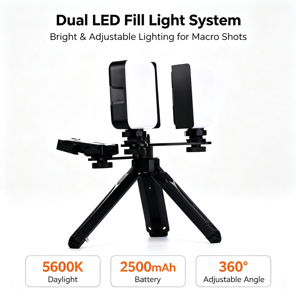 LODDEN Luz de relleno Dental c - Photography Lighting With Flash reseña y precio