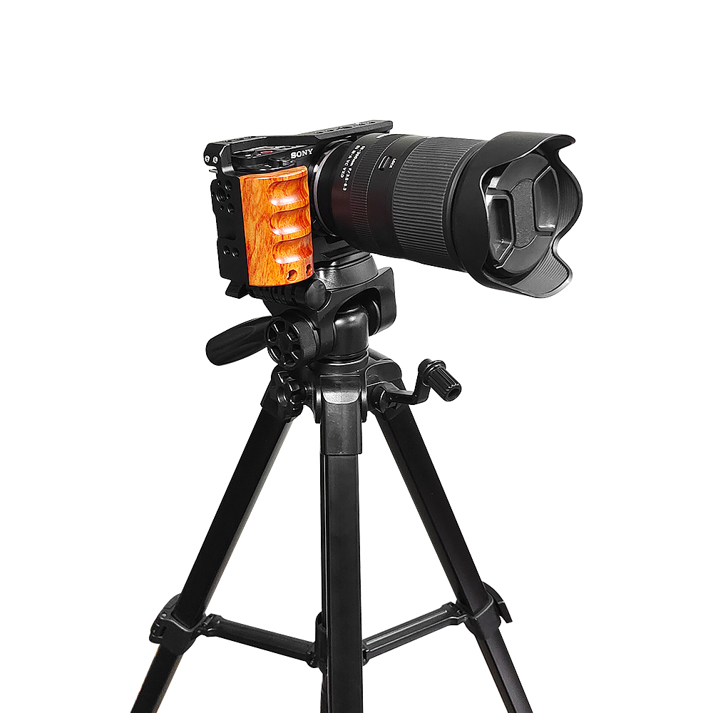 Para cámara Sony ZV-E10 Cage c - Sony Camera Zv-E10 reseña y precio
